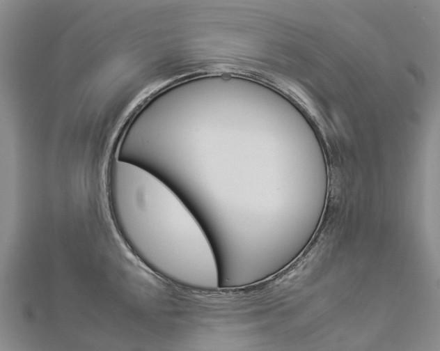 X0000112931048200908241050
