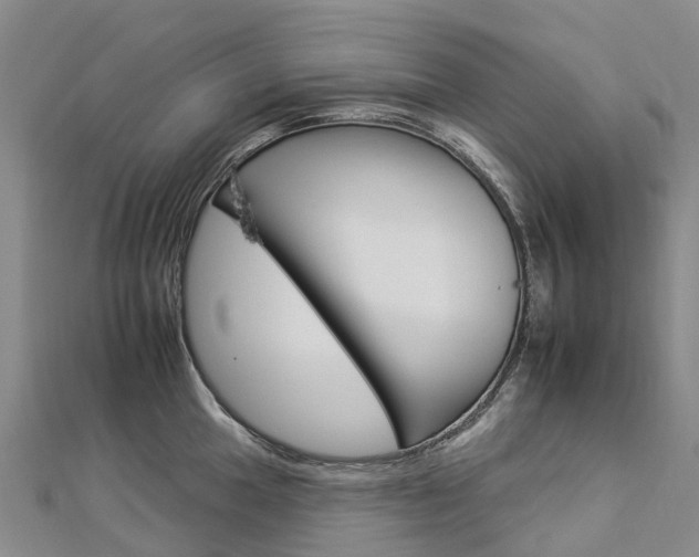 X0000112931049200908241050