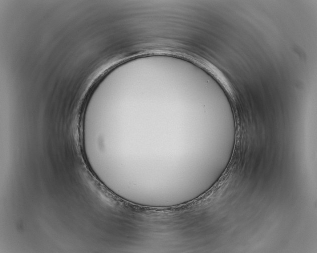 X0000112931051200908241050