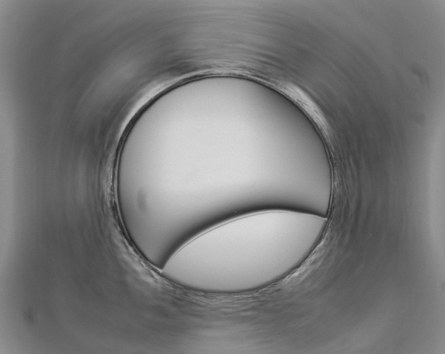 X0000112931052200908241050