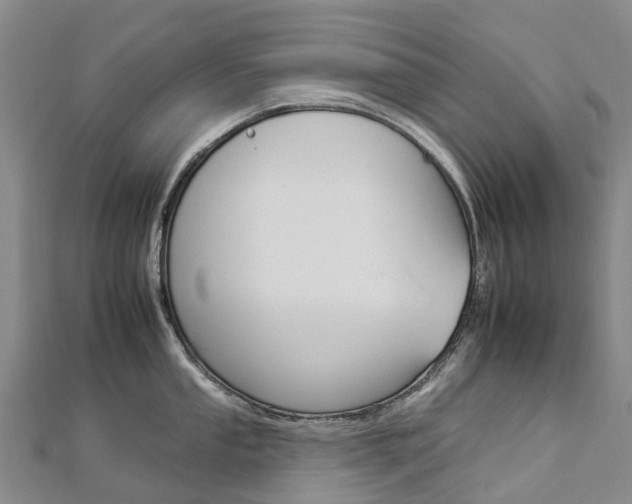 X0000112931053200908241050