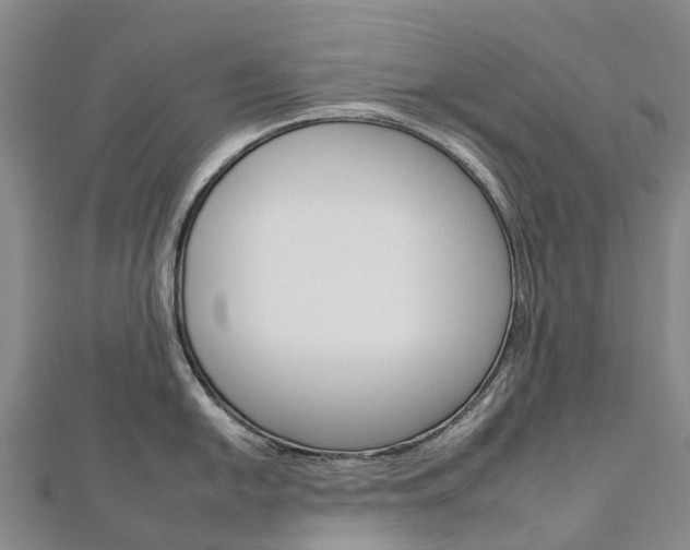 X0000112931054200908241050