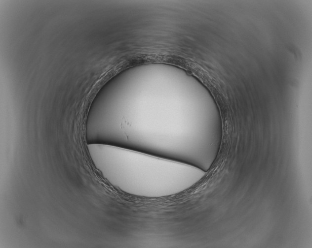 X0000112931057200908241049