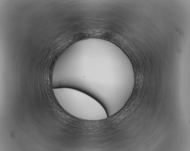 X0000112931058200908241049