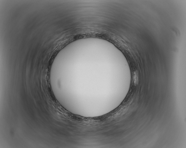 X0000112931059200908241049