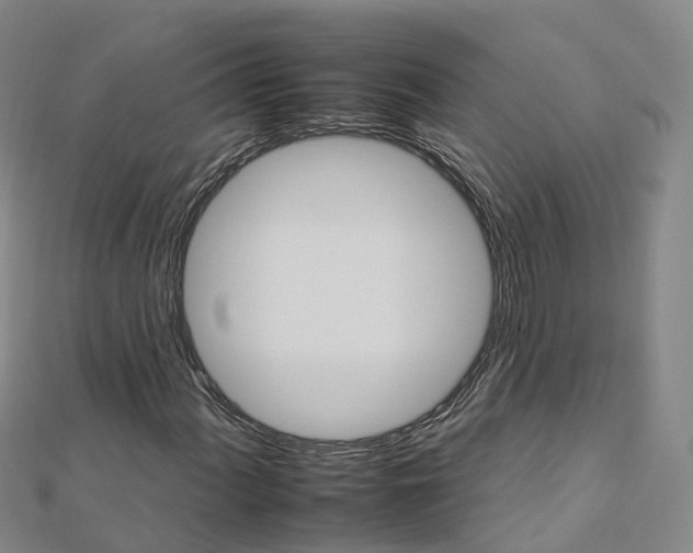 X0000112931060200908241049