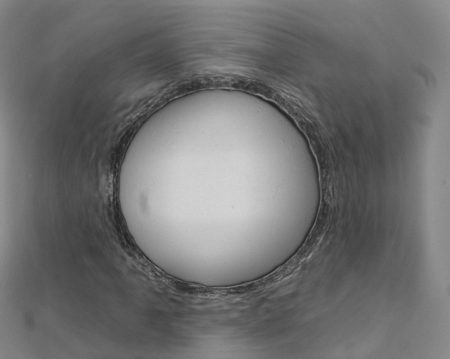 X0000112931061200908241049