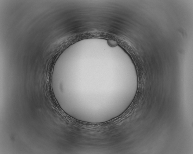 X0000112931062200908241049