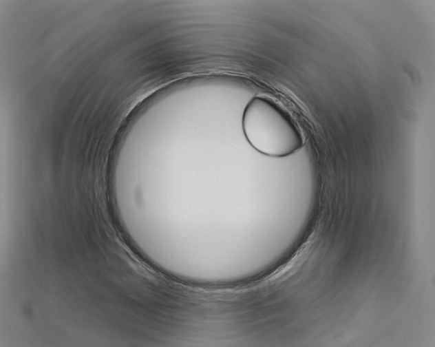 X0000112931065200908241049