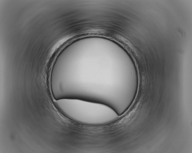 X0000112931066200908241049