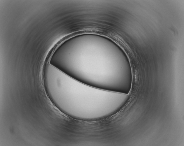 X0000112931068200908241049