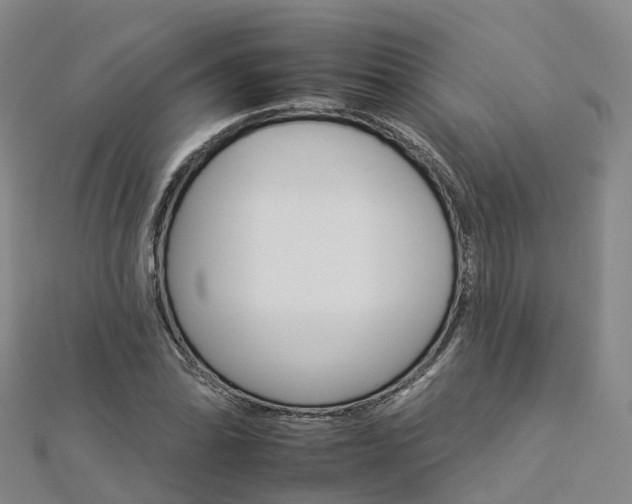 X0000112931070200908241049