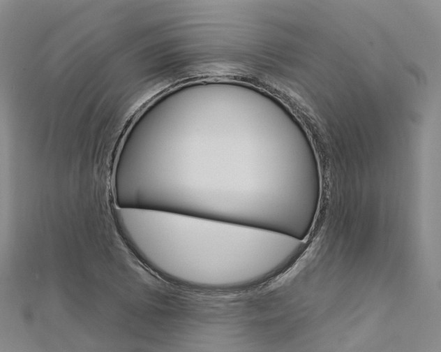 X0000112931073200908241049