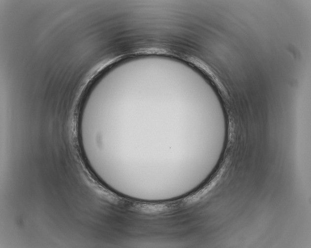 X0000112931074200908241048