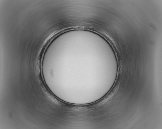 X0000112931075200908241048