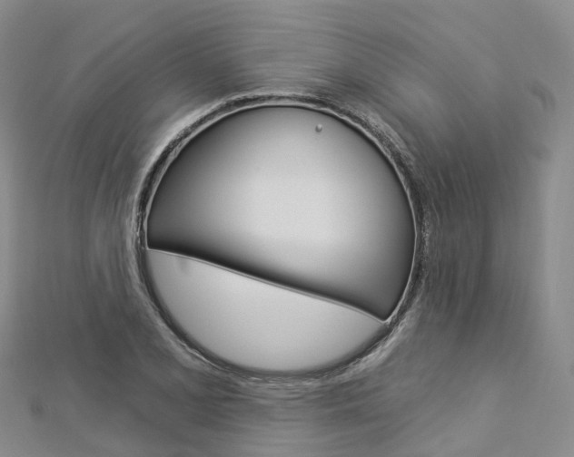 X0000112931077200908241048