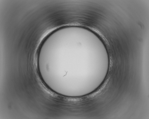 X0000112931078200908241048