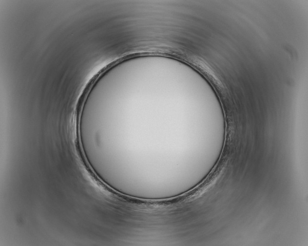 X0000112931079200908241048