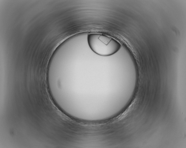 X0000112931081200908241048