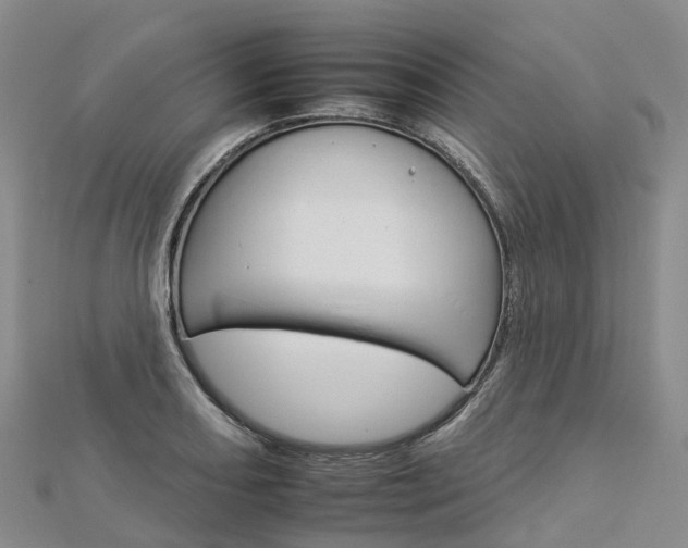 X0000112931082200908241048