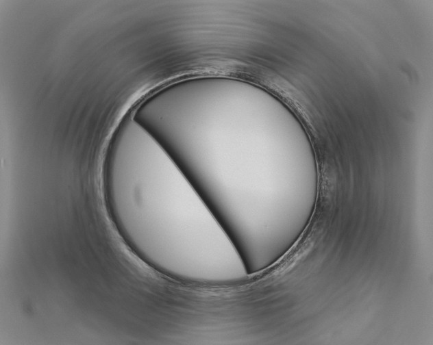 X0000112931083200908241048