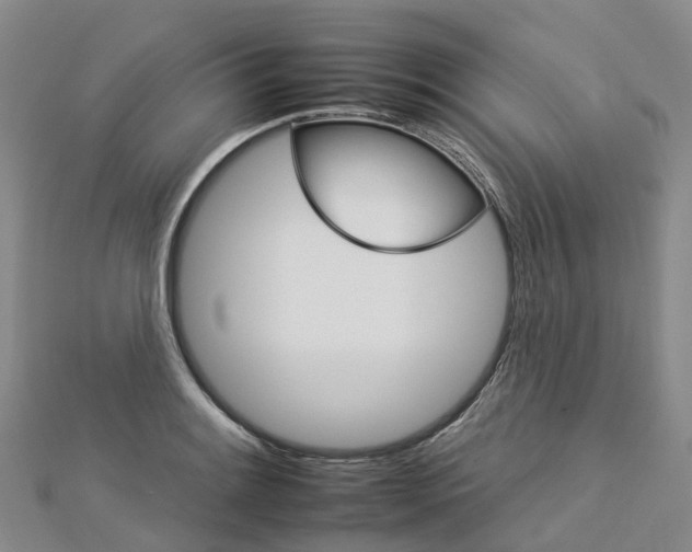 X0000112931084200908241048