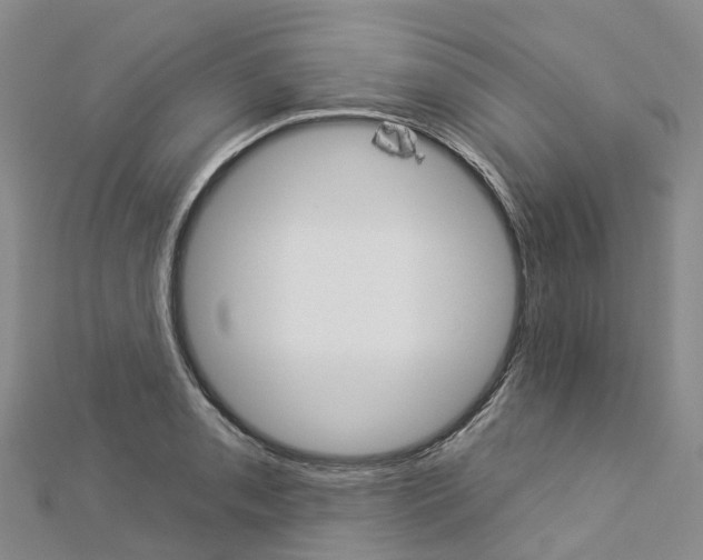 X0000112931085200908241048