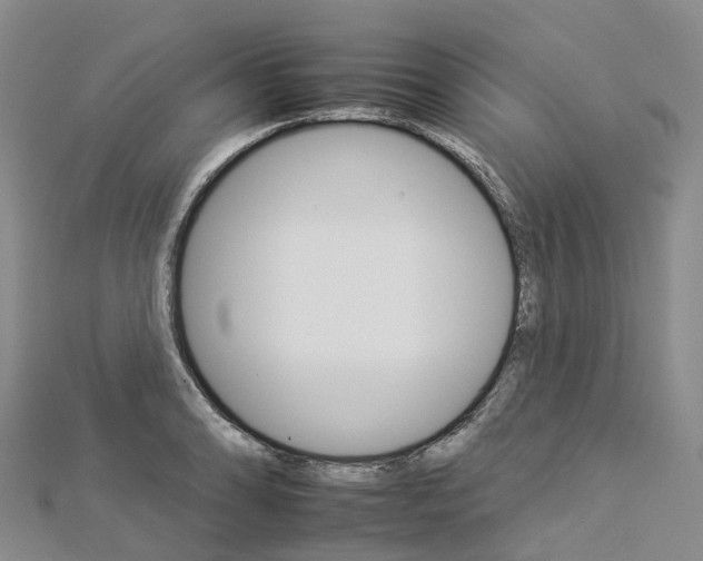 X0000112931086200908241048