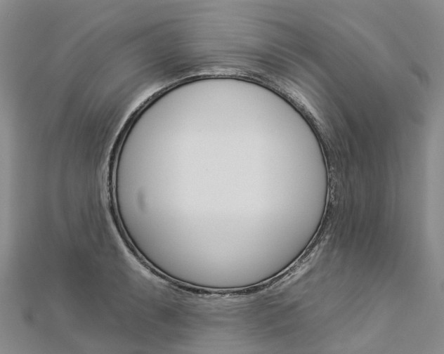 X0000112931087200908241048