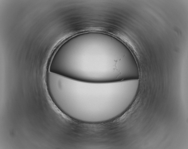 X0000112931088200908241048