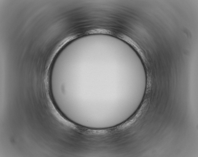 X0000112931090200908241048