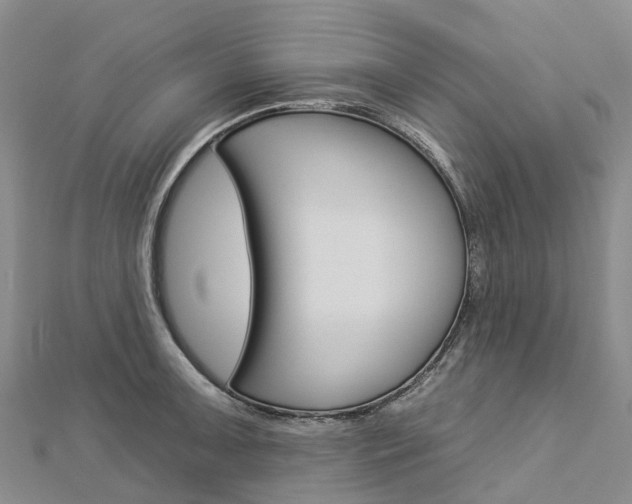 X0000112931091200908241048