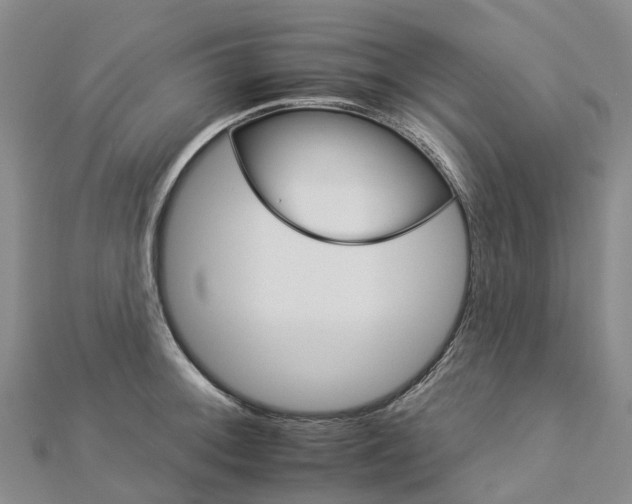 X0000112931092200908241048