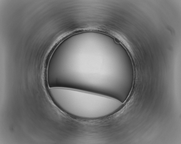 X0000112931093200908241048