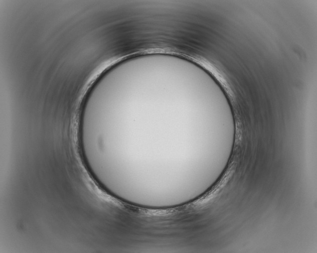 X0000112931094200908241048