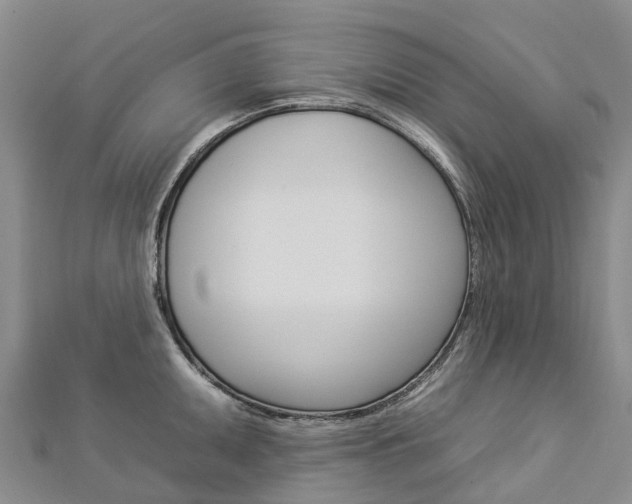 X0000112931095200908241048