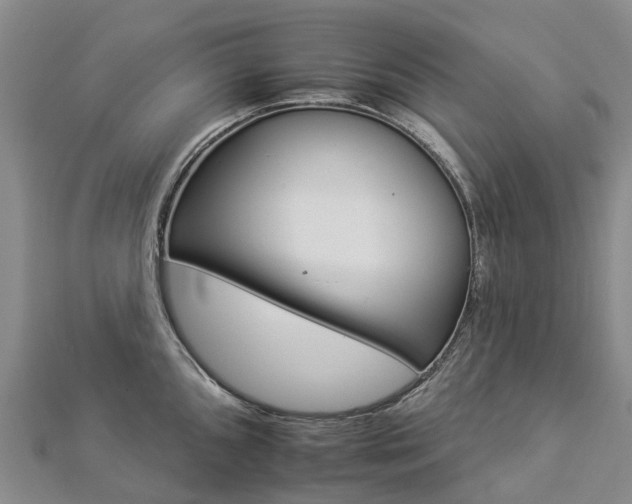 X0000112931096200908241048