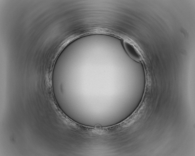 X0000112931097200908241048