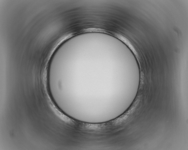 X0000112931098200908241048