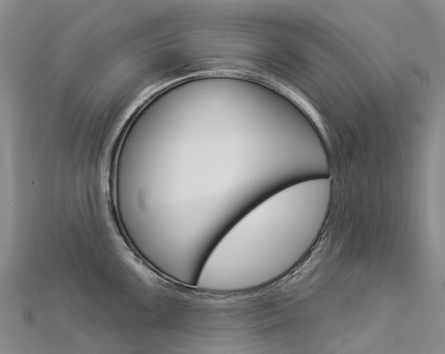 X0000112931099200908241048