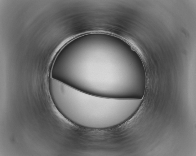X0000112931100200908241048