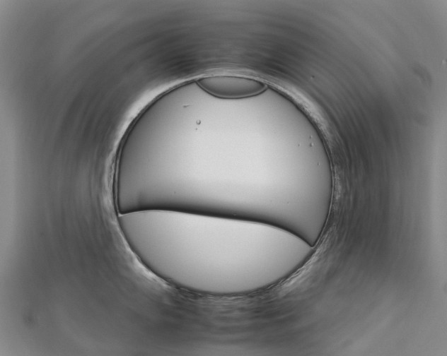 X0000112931102200908241048