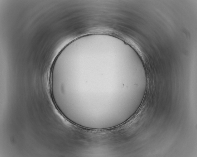 X0000112931103200908241048