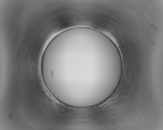 X0000112931104200908241048