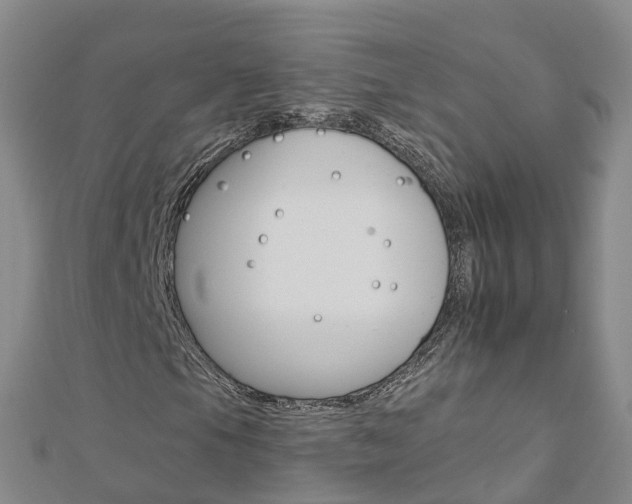 X0000112931105200908241047