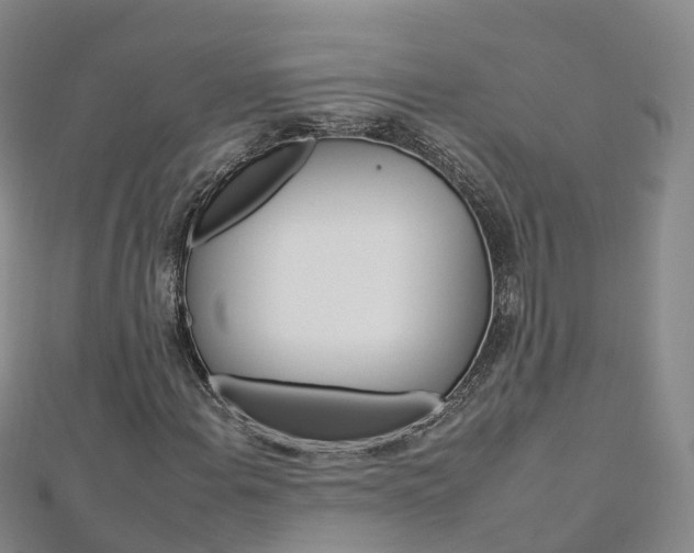 X0000112931108200908241047