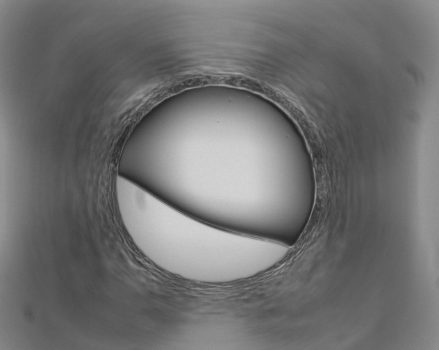 X0000112931110200908241047