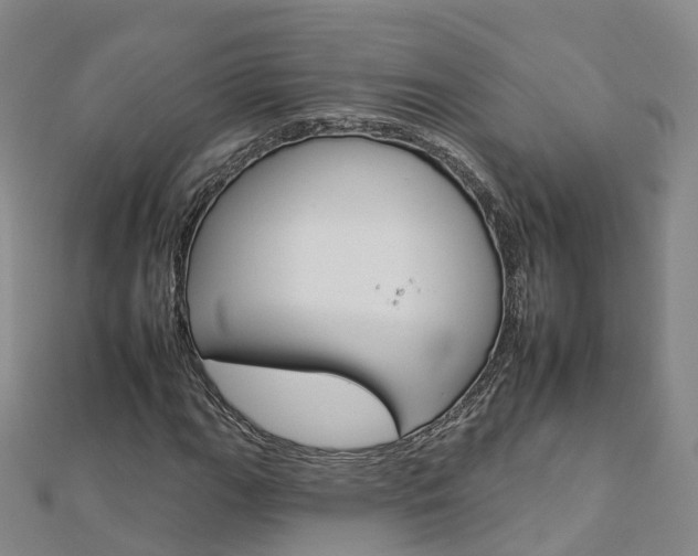 X0000112931111200908241047
