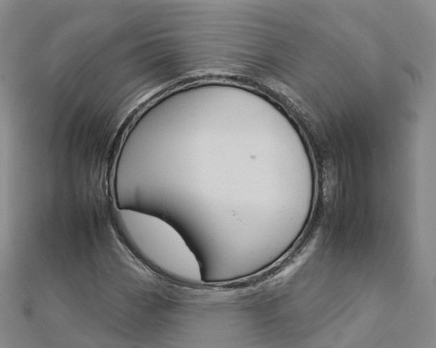X0000112931113200908241047