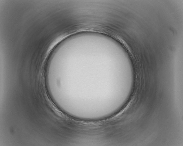 X0000112931114200908241047